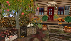 Dreamscapes Art Gallery-VIP Haybale