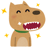 歯の漂白 みみみんブログ