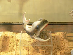 DSCN8738