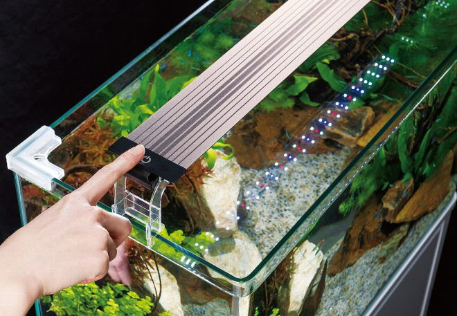 新製品 ここまできた 2ミリという極限技術 Kotobukiの新フラットled Ss Hl キワメテ 水族館