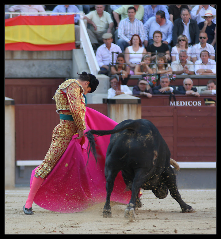 morante 03