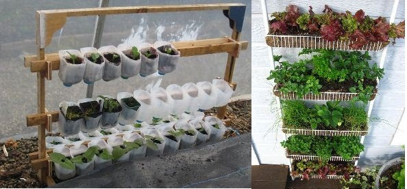 Berkebun di Lahan Sempit dengan Kebun Vertikal Berkebun di Lahan Sempit dengan Kebun Vertikal