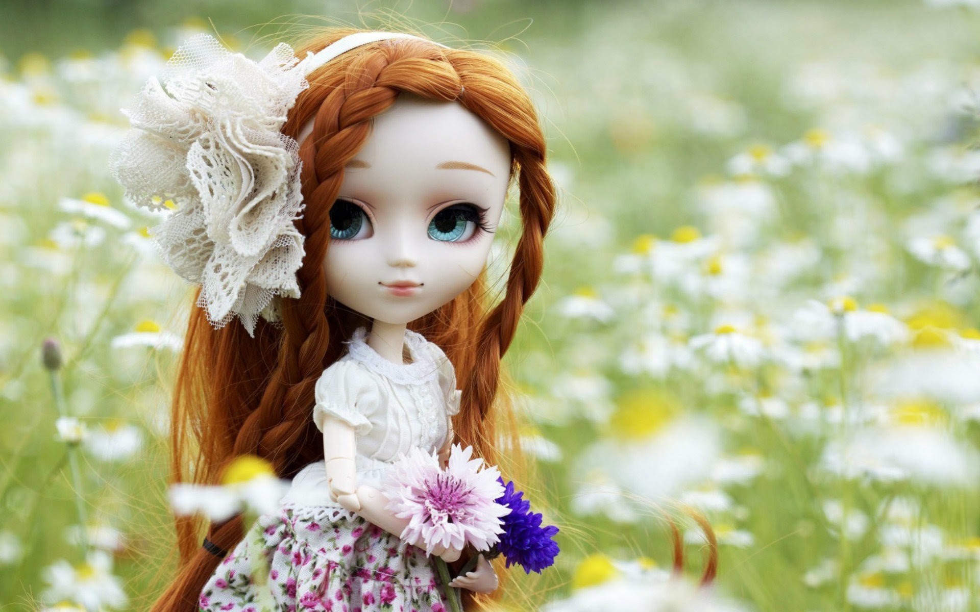  Wallpapers  of Dolls  76 images 