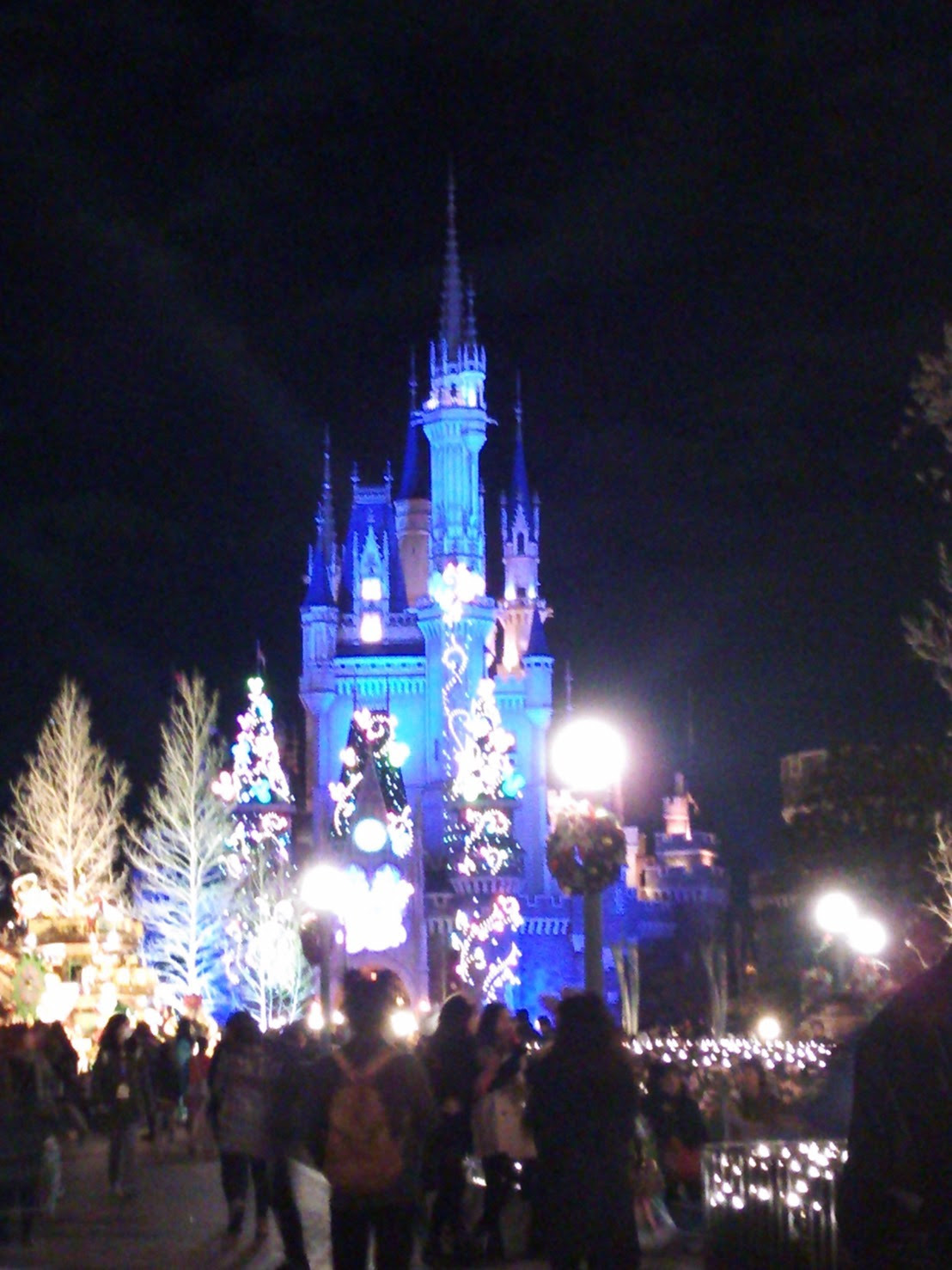 東京ディズニーランド アフター６パスポートの欠点