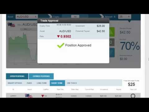 binary options software
