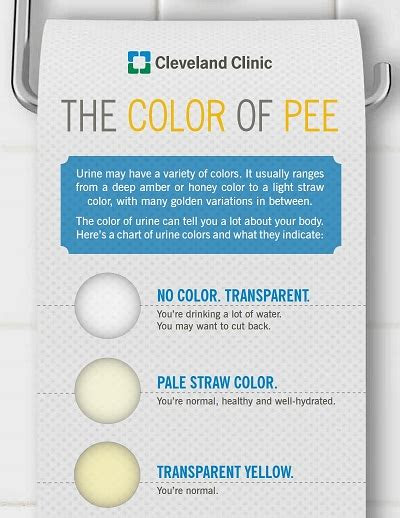  urine color chart free download