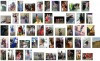 imagebam.com