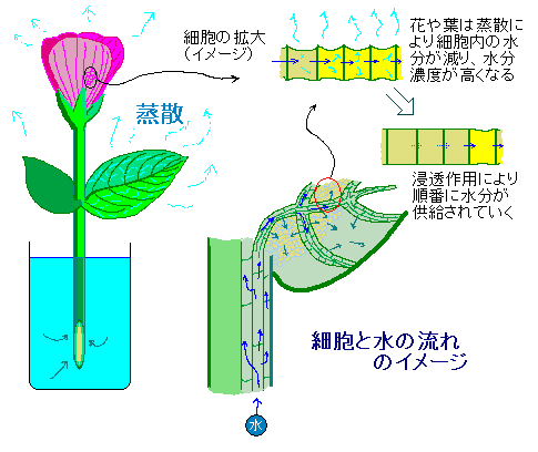 テクニカルノート