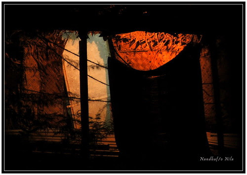 Night light