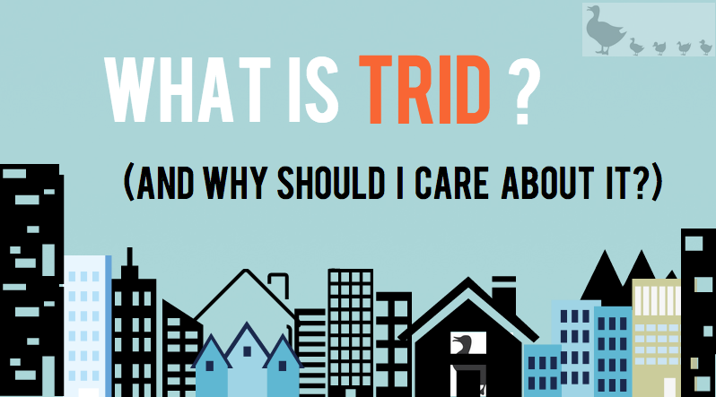 Massachusetts Trid Rules Massachusetts Real Estate Law Blog