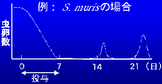 駆虫方法