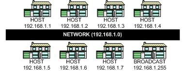 network