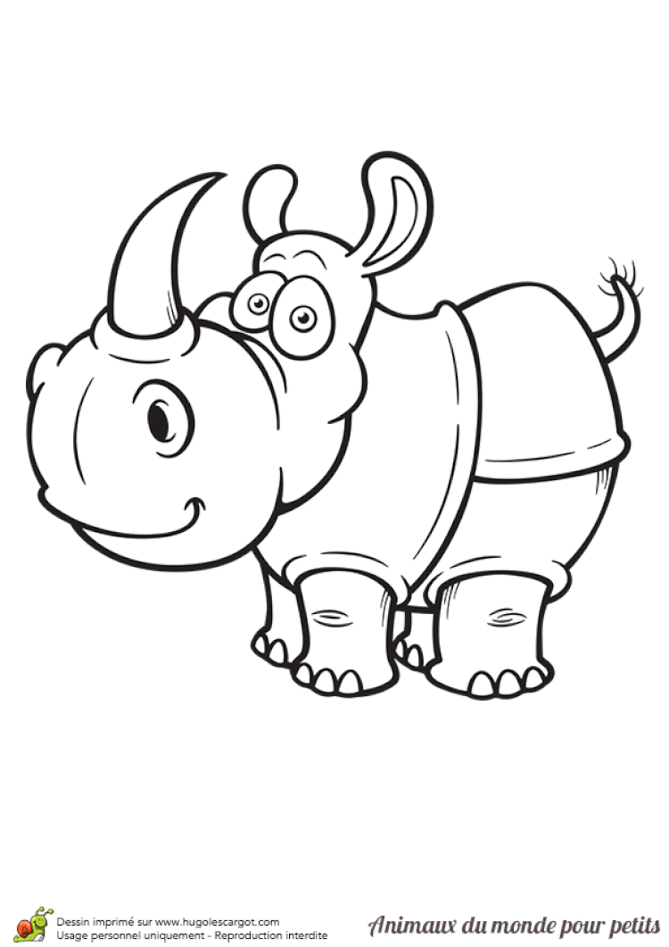 sanglier Coloriage animaux du monde rhinoceros