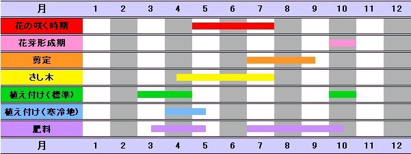 Pr この広告は3ヶ月以上更新がないため表示されています ホームページを更新後24時間以内に表示されなくなります アジサイの育て方 アジサイは非常に丈夫な植物です よほどの寒さや真夏の水切れさえ避ければ枯れることは滅多にありません 私の