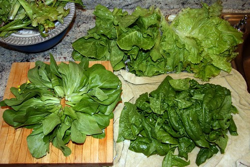 harvest