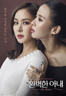Ms. Perfect, Top 16 - My Favorite Korean Drama Of 2017, Top 16 - Best Korean Drama Of 2017, My Korean Drama List, Senarai Drama Korea Kesukaan Aku, Drama Korea, Korean Drama, 2017, Blog Miss Banu Story, Review By Miss Banu,