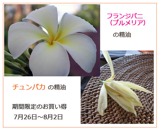 プルメリア チュンパカのエッセンシャルオイル キャンペーン バリ雑貨 アジアン雑貨通販apaapa