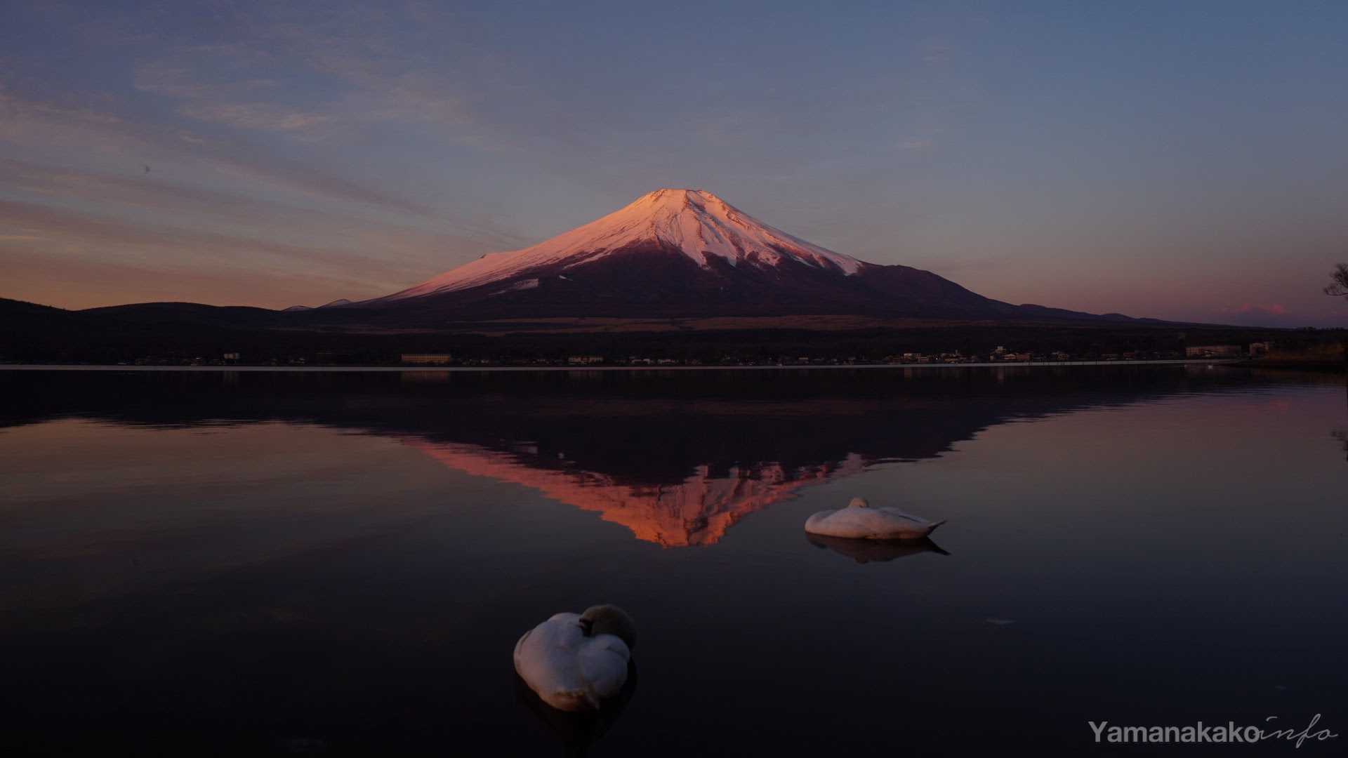 最近の富士山 壁紙用 山中湖観光情報