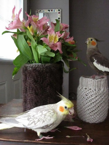 knit jar covers