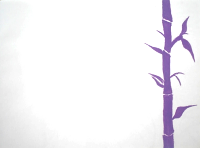 bamboo border