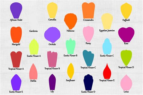 I prepare the first 5 petals by slightly overlapping them by about 1/4 inch. giant paper flower template svg diy paper flower svg pdf dxf 122817