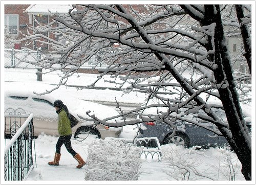 Snow in the City