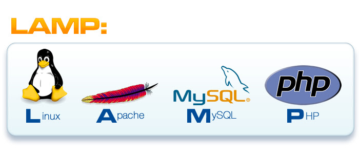 Instalando Servidor Apache MySQL e PHP  LAMP no Linux  