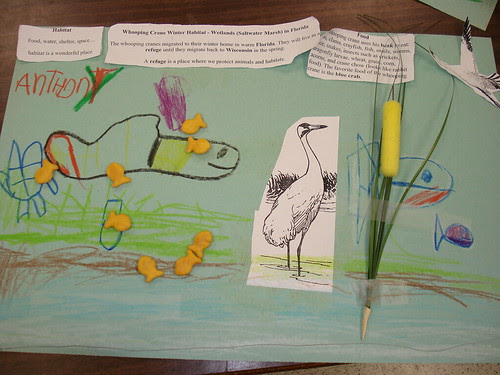 Check out this Habitat!