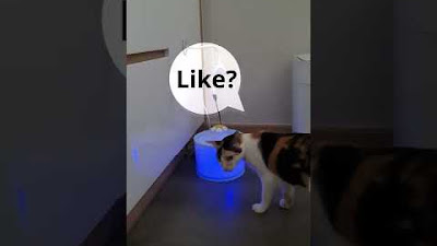 Cat Water Fountain Mat