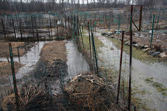 flood 037