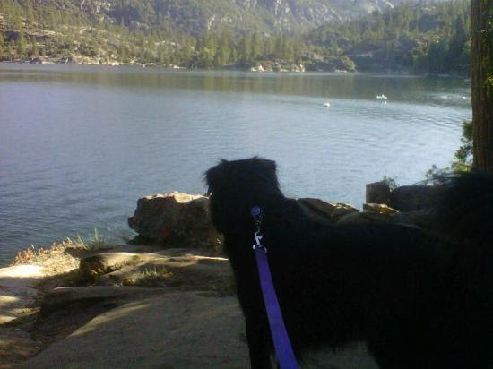 Pinecrest lake - Picture of Strawberry, California ...