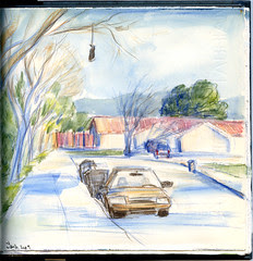 Jan 16, 2009: Sunnyvale street: spring is here ;)