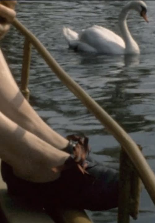 A Constellation of 6 Super 8 Films Ganzer Film Kostenlos Stream Online
Deutschland 2021 Deutsch HD