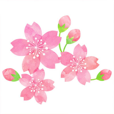 おしゃれなイラストが無料 イラストカップillustcup 桜 水彩