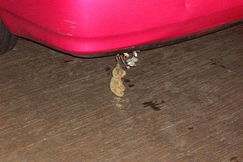 車体の下の ぬいぐるみ ベトナムで暮らすケーニーのブログ