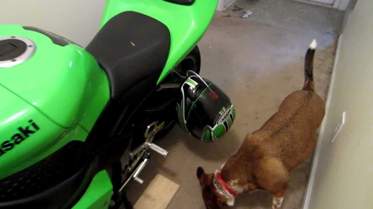 stand bike a attaching Helmet  helmet bike  YouTube to lock. WITHOUT LOCKING