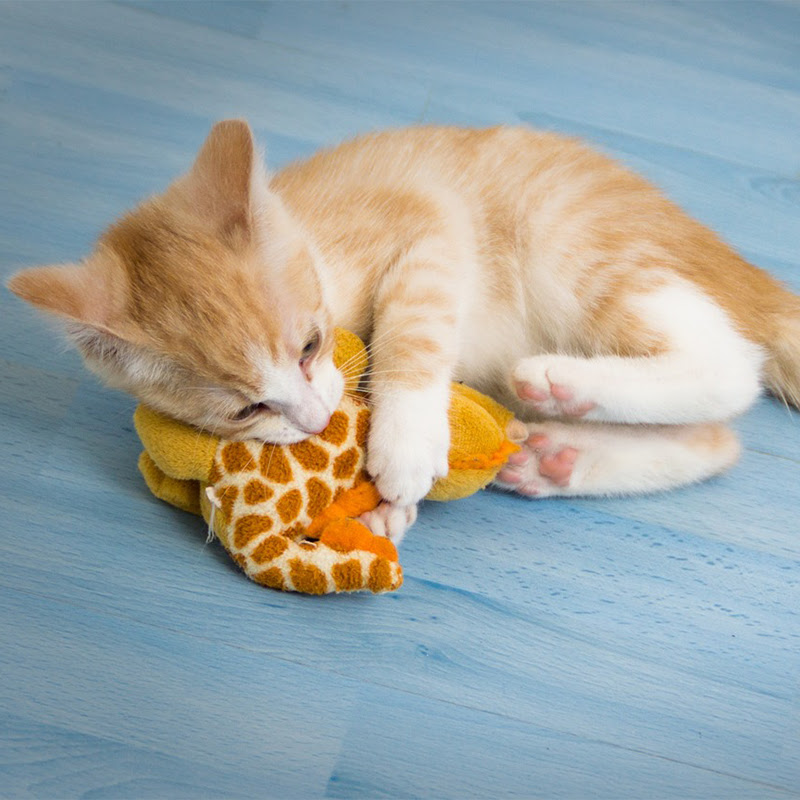 ストレス発散に効果抜群のけりぐるみ7選 猫のけりけり欲を解消