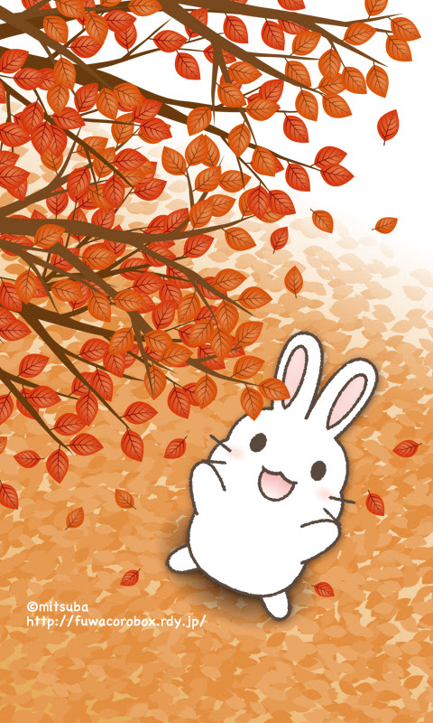 ふわころbox 紅葉とうさぎ 女の子 待ち受け画像