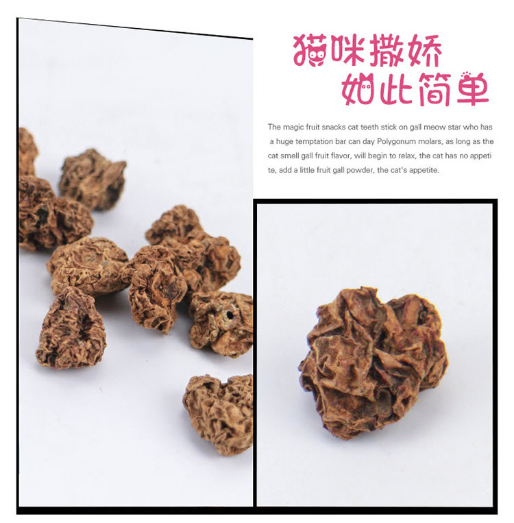 虫瘿果 万图壁纸网