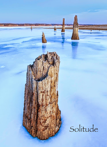 Sentinels in the Ice