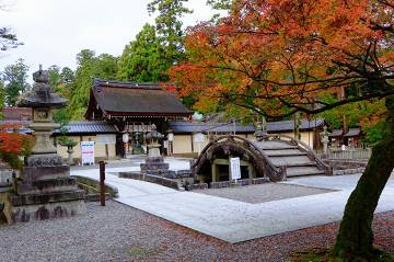 多賀大社の紅葉