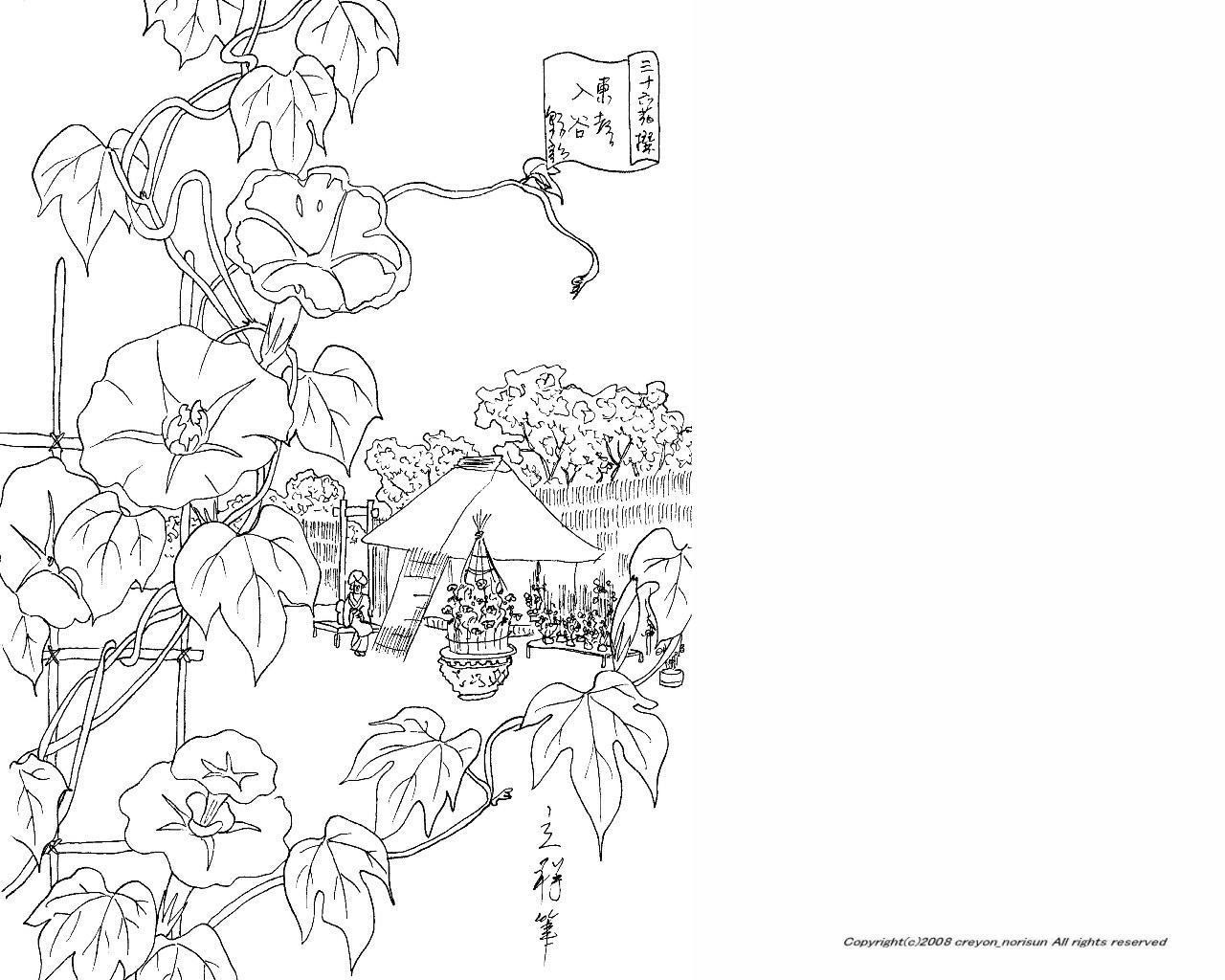入谷のアサガオ市の下絵ーあさがおの塗り絵