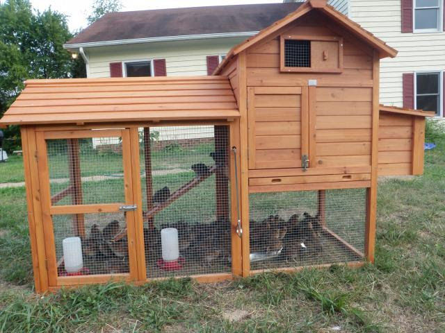 Pics Photos - For Sale Chicken Coop And More