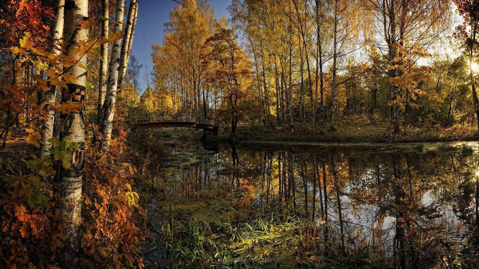 Nature Wallpapers 1600x900 - Wallpaper Cave, wallpapers 1600x900 nature