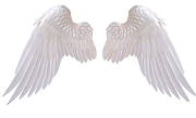 22+ PicsArt Wings