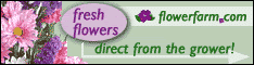 Freshest flowers direct from the grower.