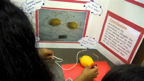 Back in the day, many people would list their phone numbers in the white pages. Adhya's Science Fair Project-Fruit Battery - YouTube