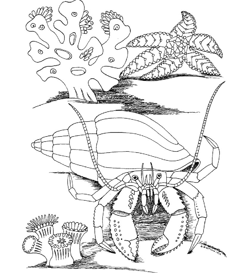 Underwater coloring pages to download and print for free