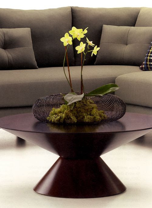 LotusHaus: Interior Design