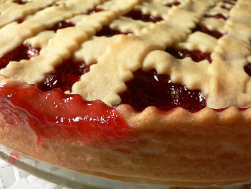 Low Budget Cooking: Apfel-Preiselbeer-Kuchen